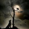 ravenwolfsky